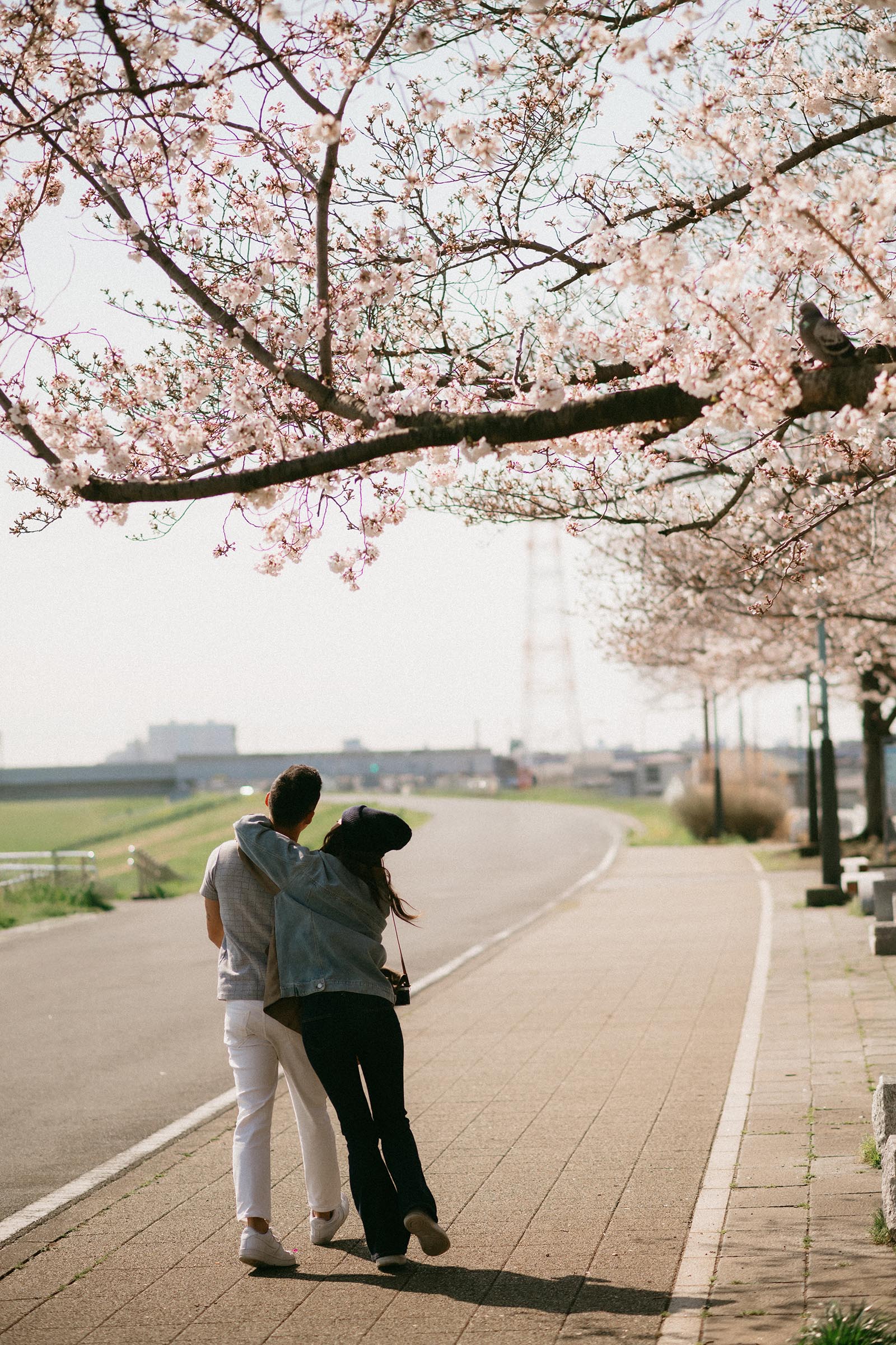 Prewedding photography by Sheerss